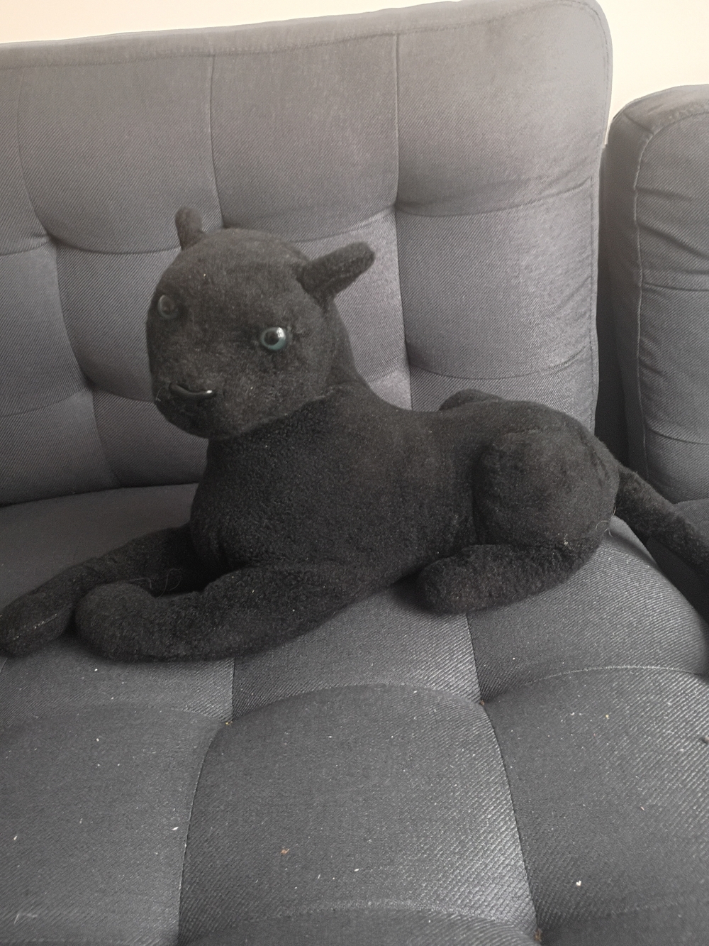 Panther Plushie!